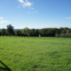 STUD FARM WITH MANOR - 41 HA - DEAUVILLE