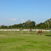 EMPLACEMENT IDÉAL POUR CETTE ÉCURIE À QUELQUES MINUTES DE DEAUVILLE