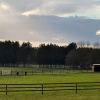 HARAS ENVIRON 110 HA - RÉGION ARGENTAN - SPLENDIDE MANOIR D'ENV. 800 M2 ENTIÈREMENT RÉNOVÉ