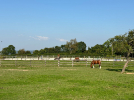 IDEAL LOCATION FOR THIS STABLE CLODE TO DEAUVILLE DEAUVILLE IDEAL LOCATION FOR THIS STABLE CLODE TO DEAUVILLE DEAUVILLE