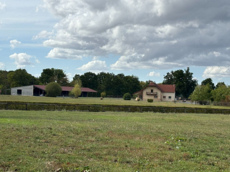 HARAS /PROPRIÉTÉ D'ENVIRON 11HA TRÈS BIEN SITUÉ DANS LA RÉGION DE CREVECOEUR EN AUGE -  HARAS /PROPRIÉTÉ D'ENVIRON 11HA TRÈS BIEN SITUÉ DANS LA RÉGION DE CREVECOEUR EN AUGE